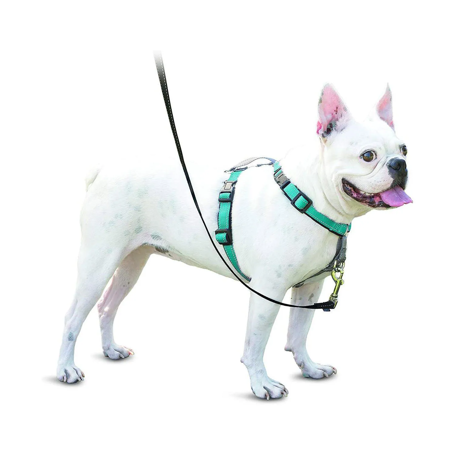 Arnés Para Perro 3 En 1 Petsafe