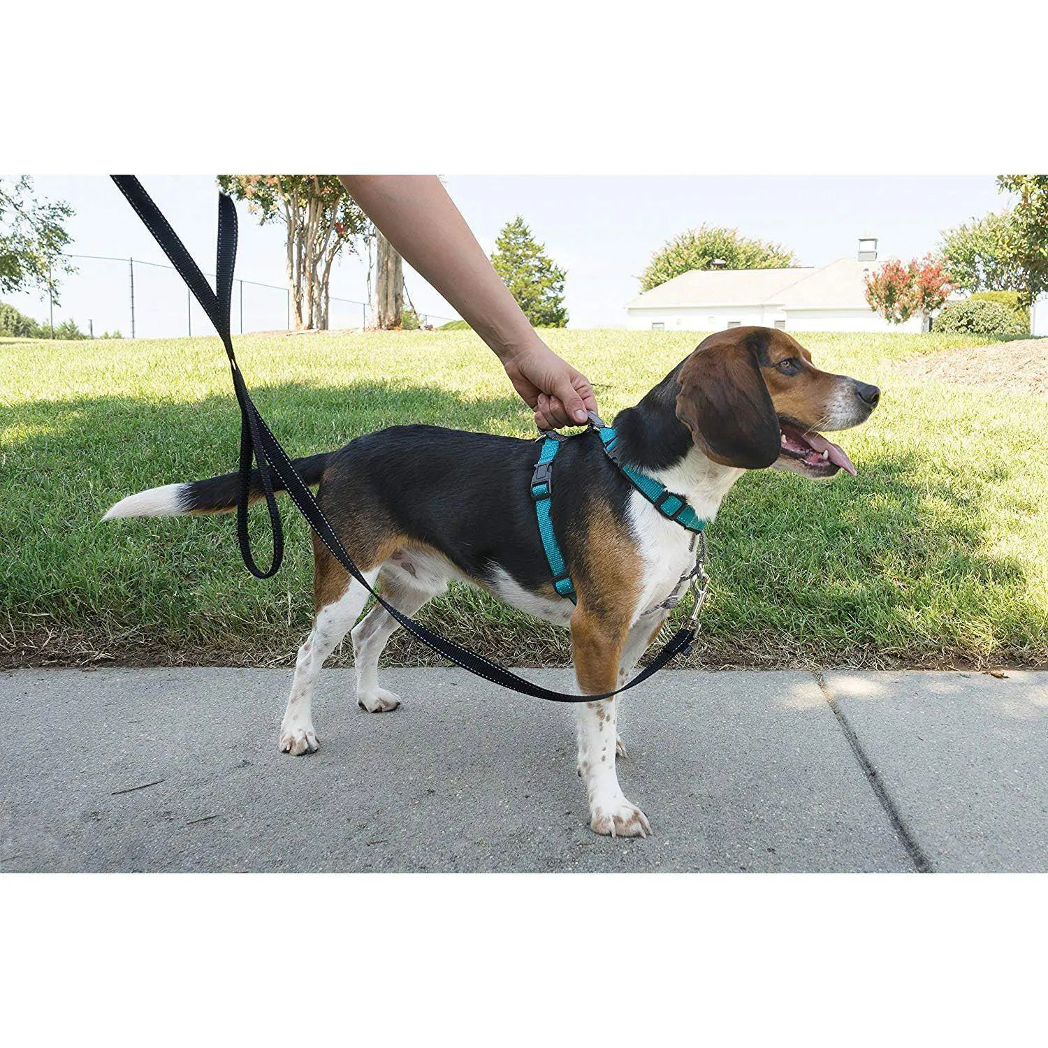 Arnés Para Perro 3 En 1 Petsafe 4
