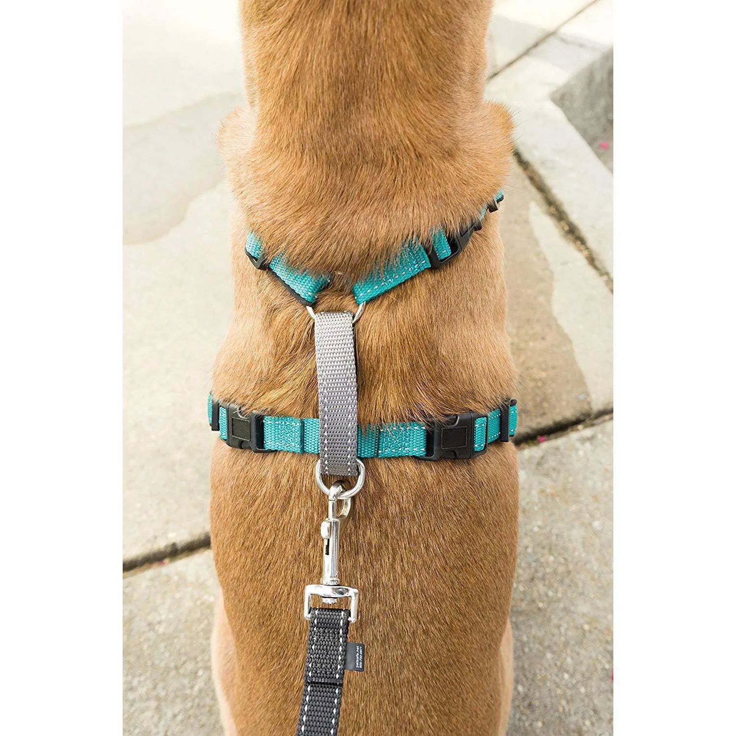 Arnés Para Perro 3 En 1 Petsafe 5