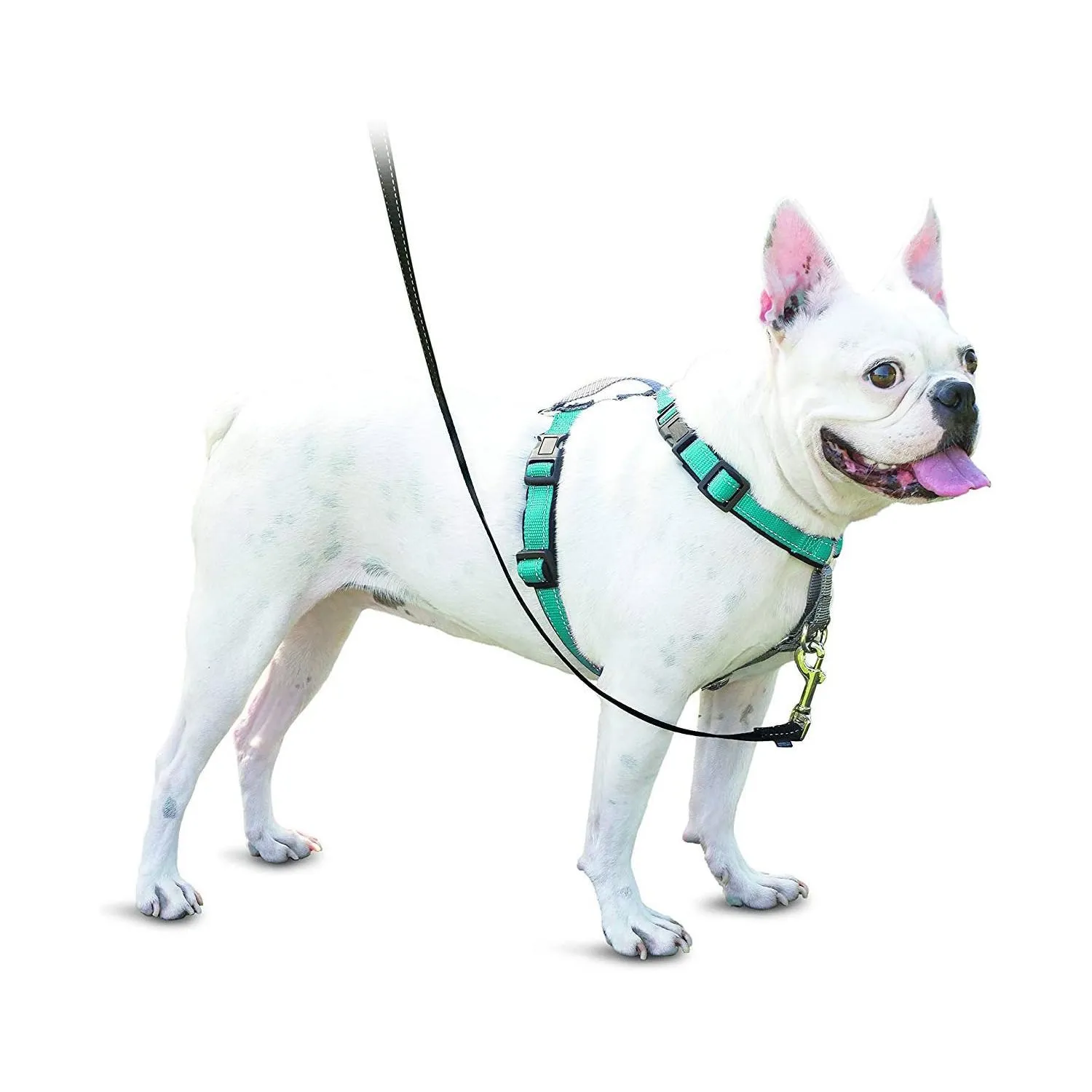 Arnés Para Perro 3 En 1 Petsafe 9