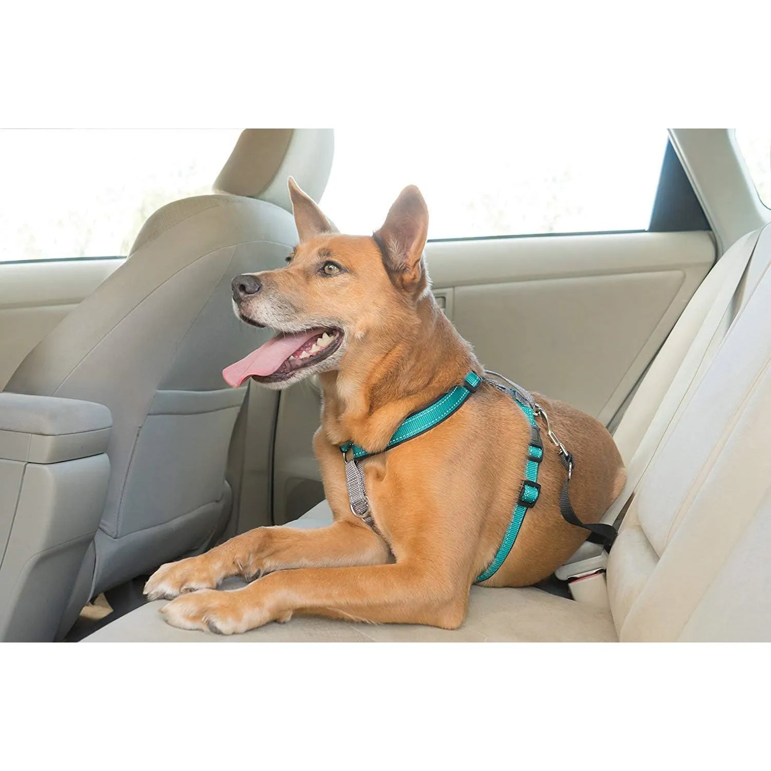 Arnés Para Perro 3 En 1 Petsafe 14