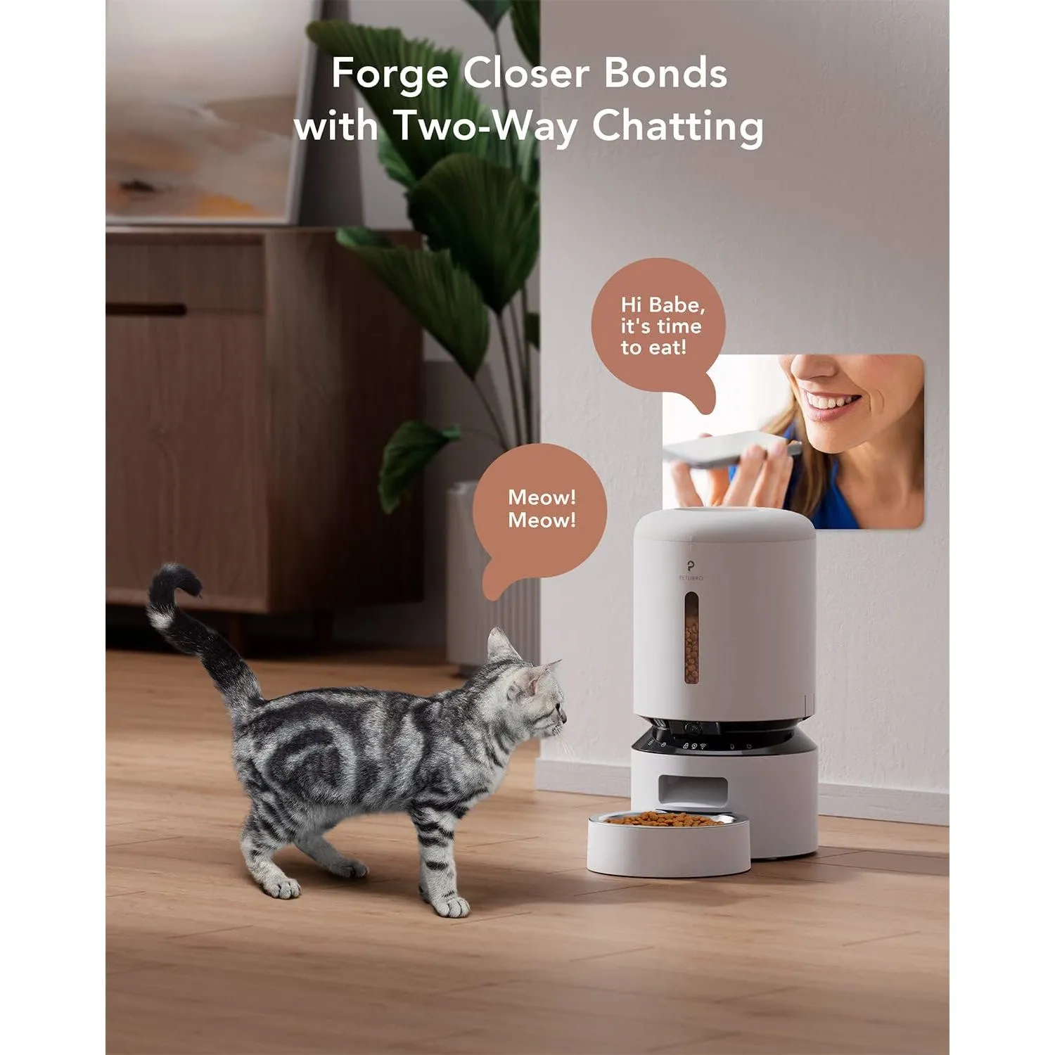Comedero para Gatos con Cámara Wifi y Sensor
