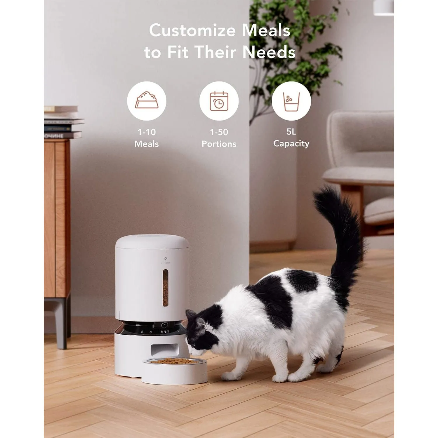 Comedero para Gatos con Cámara Wifi y Sensor 3
