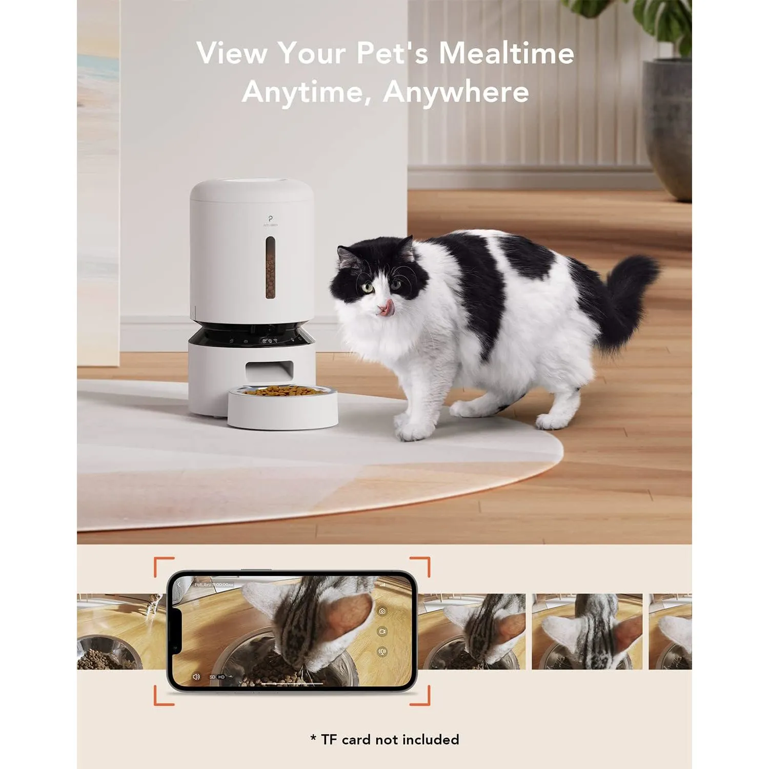 Comedero para Gatos con Cámara Wifi y Sensor 4