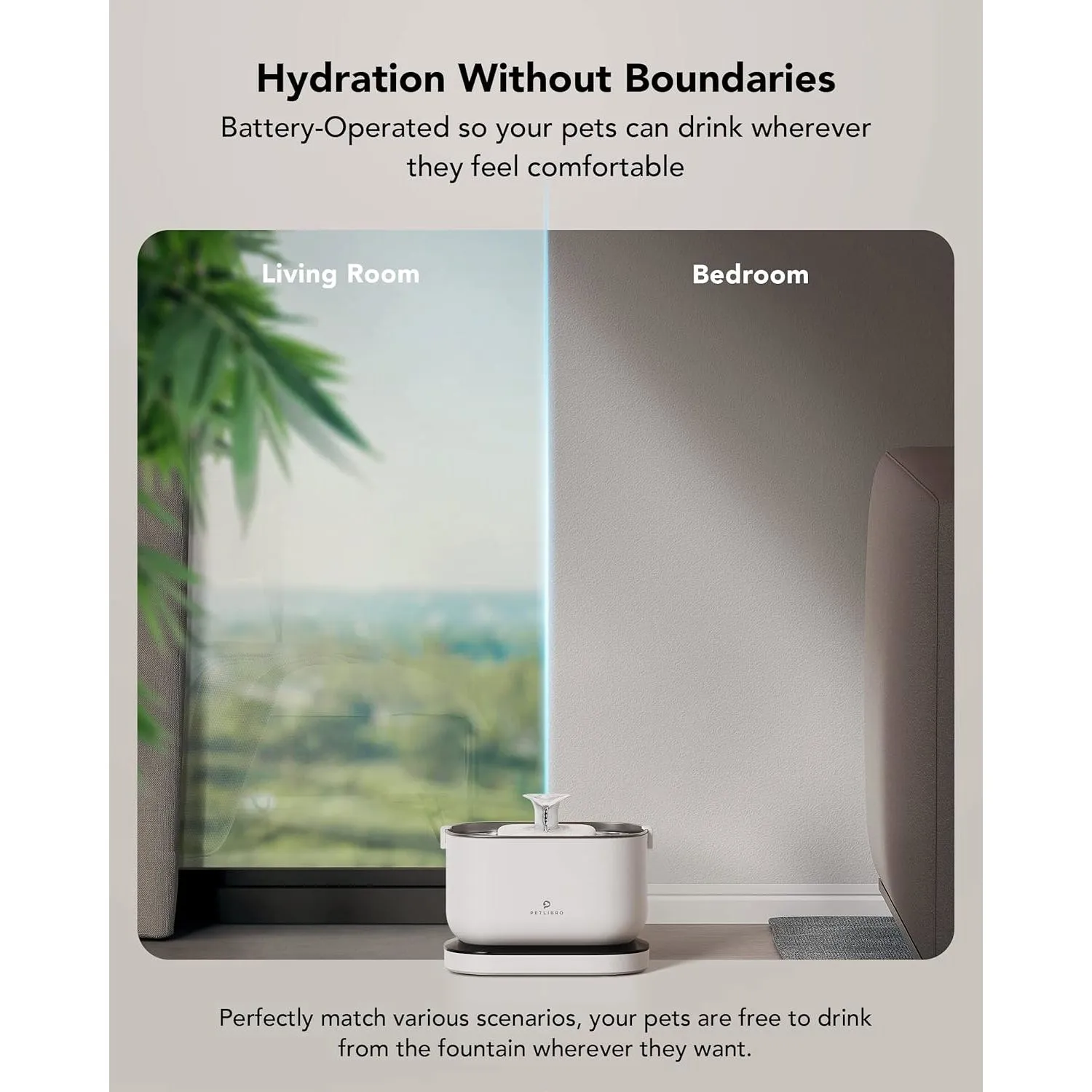 Comedero para Gatos con Cámara Wifi y Sensor 6