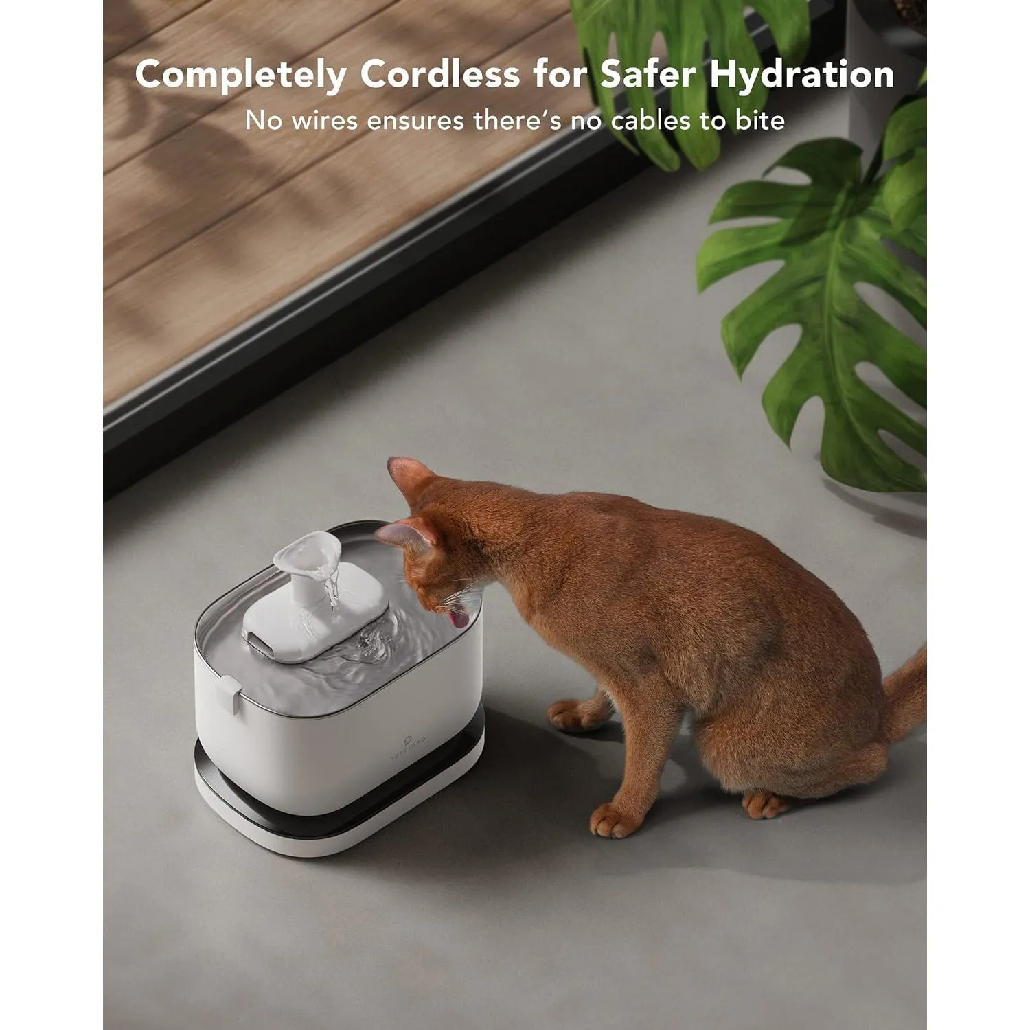 Comedero para Gatos con Cámara Wifi y Sensor 7