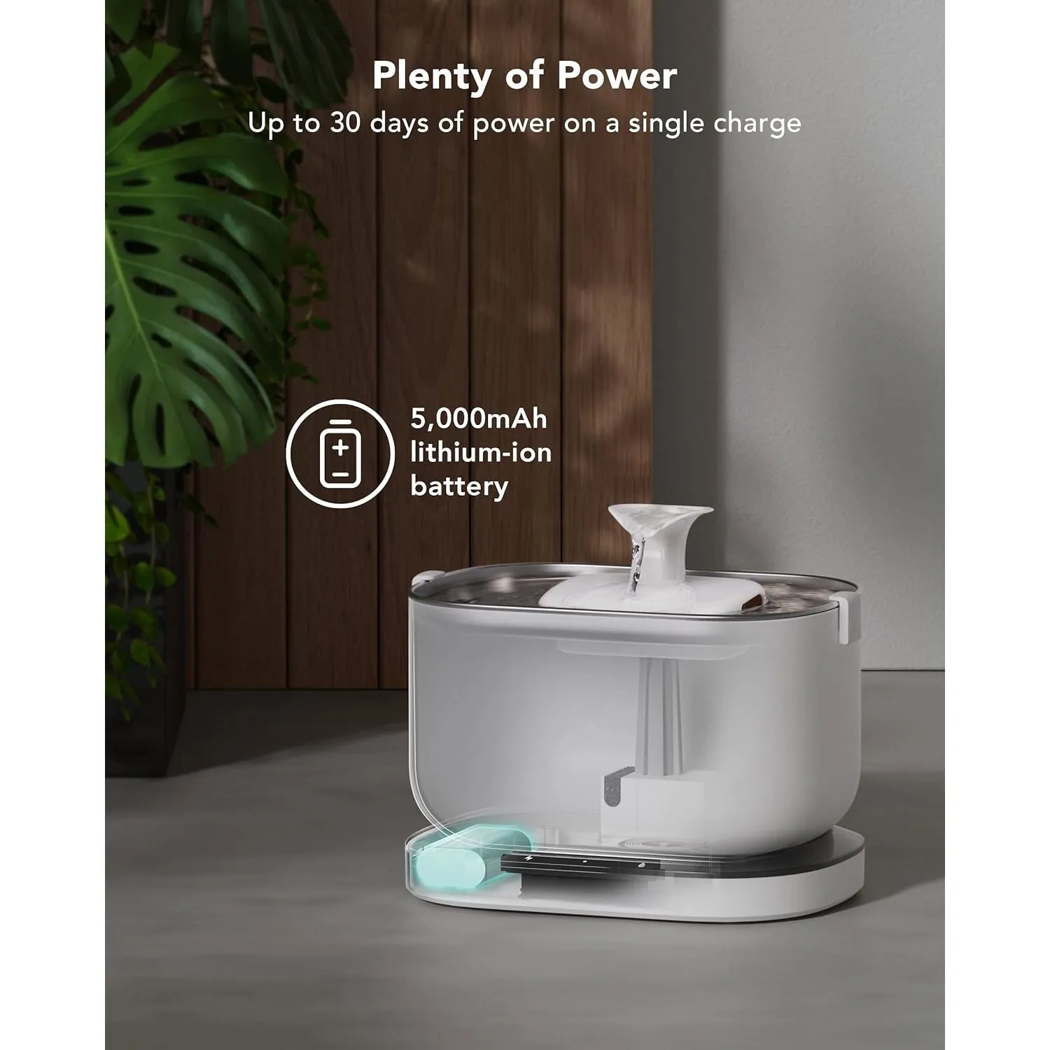 Comedero para Gatos con Cámara Wifi y Sensor 8