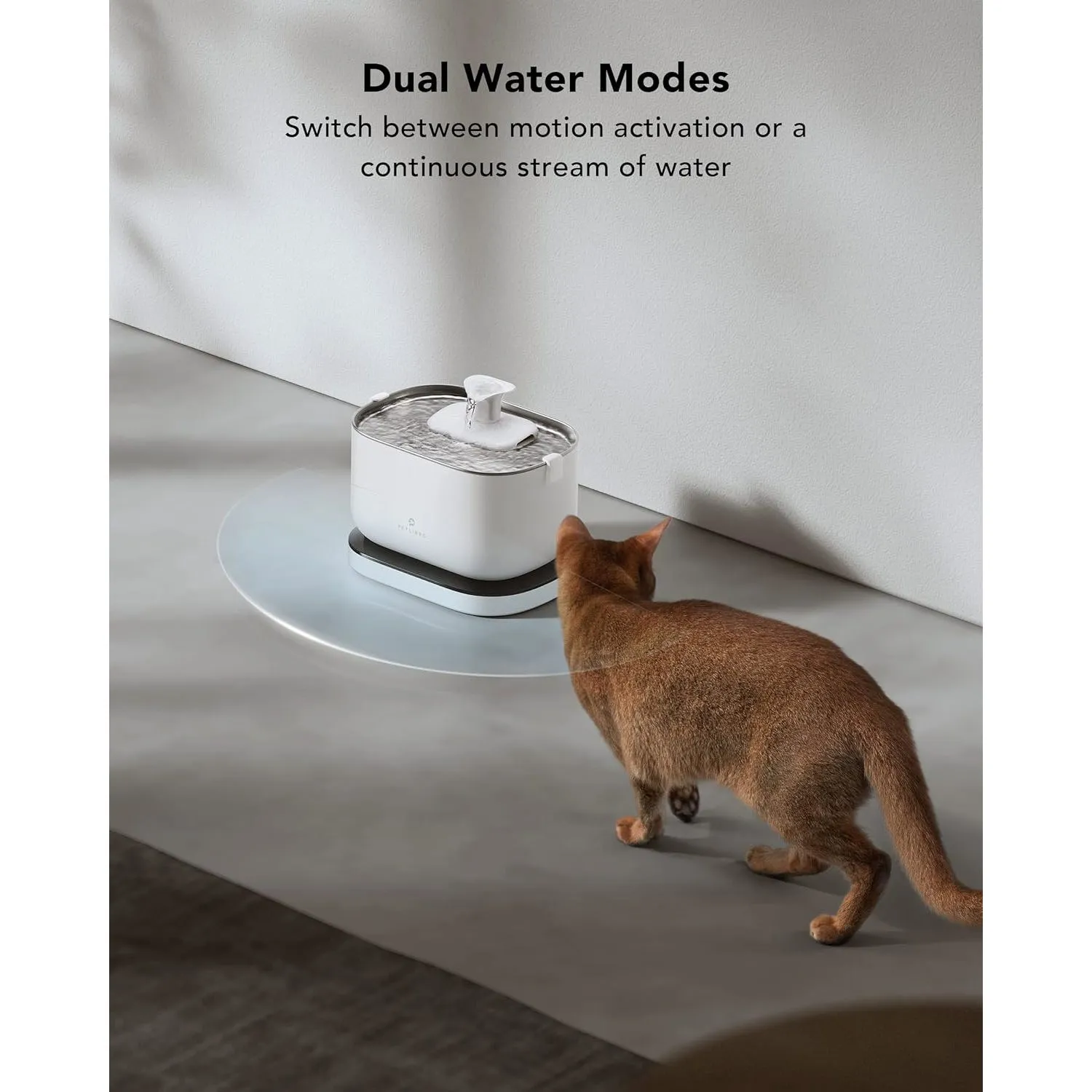 Comedero para Gatos con Cámara Wifi y Sensor 9