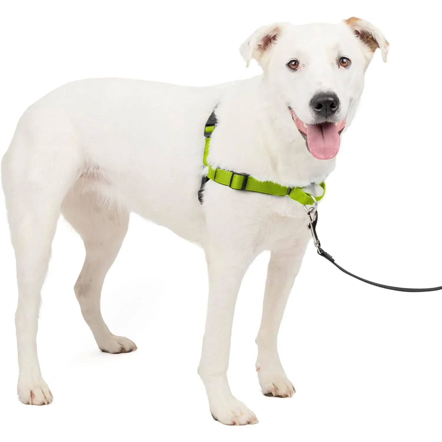 Arnés para Perros Antitirones PetSafe Deluxe Easy Walk Reflectivo Verde Manzana