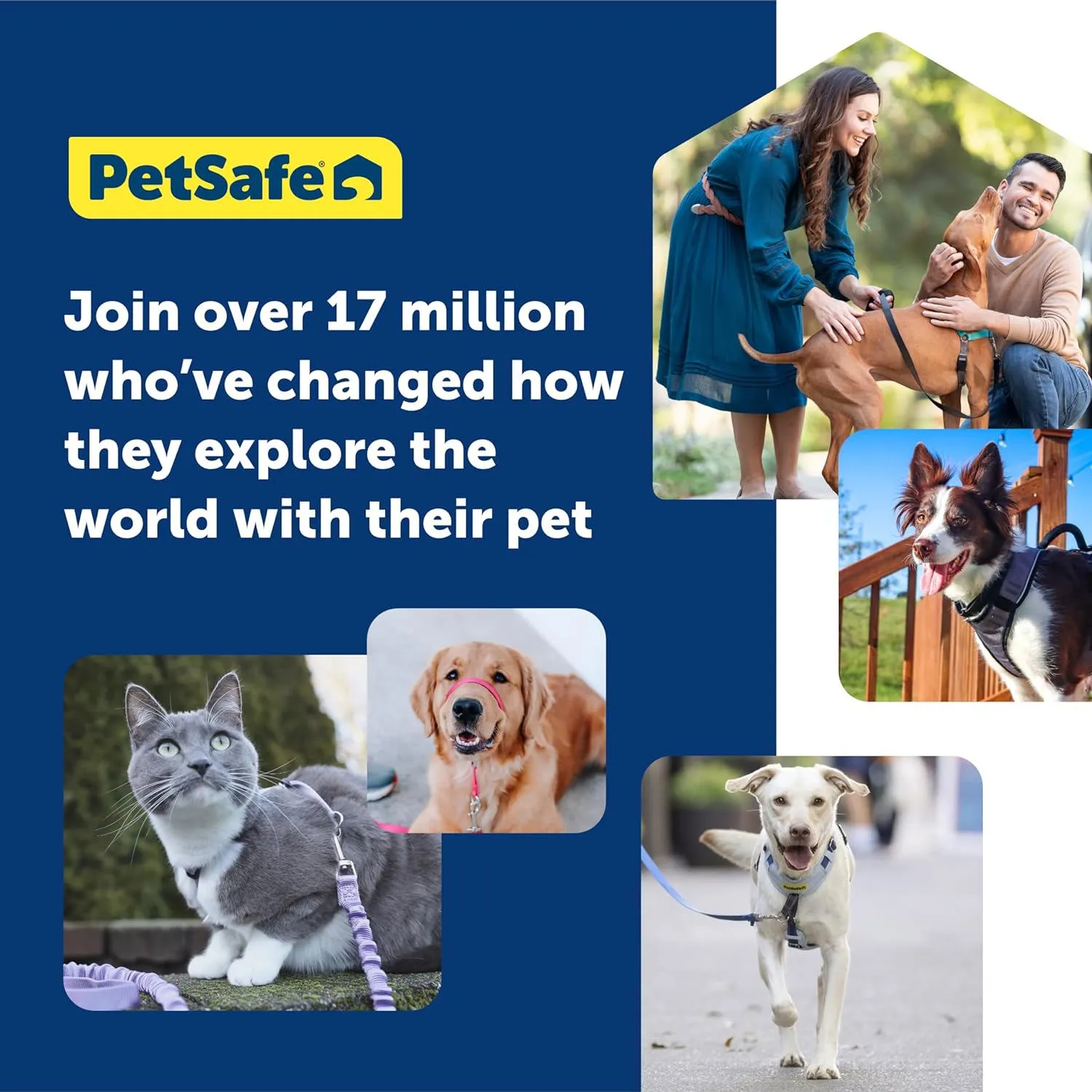 Arnés Para Perro Sin Tirones Acolchado 5 Puntos  Petsafe 6