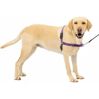 Arnés Para Perro De Paseo Fácil  L Púrpura Petsafe