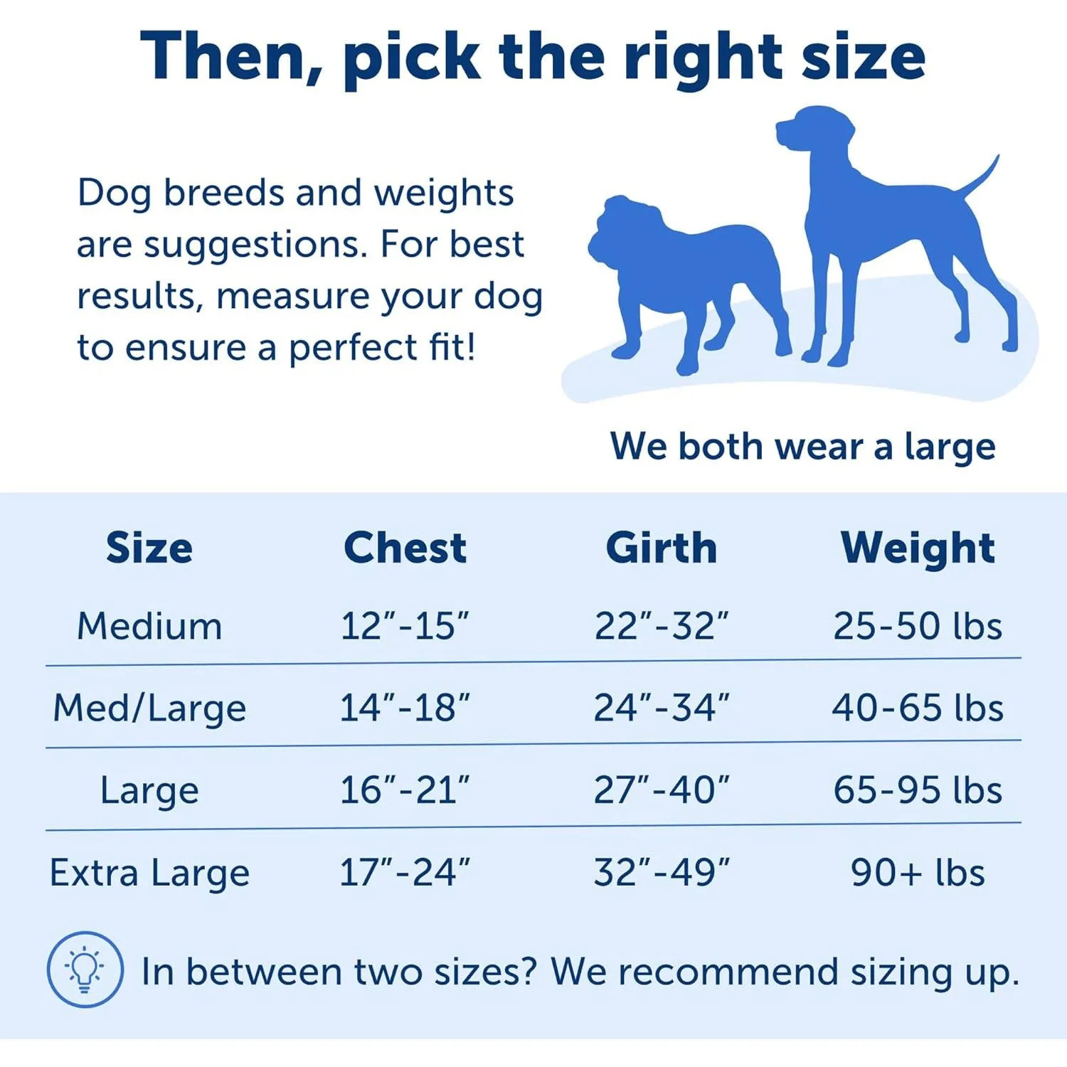 Arnés Para Perro De Paseo Fácil  L Púrpura Petsafe 5