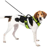 Arnés Para Perro L Manzana Petsafe