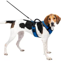 Arnés Para Perro L Azul Para Perro Petsafe