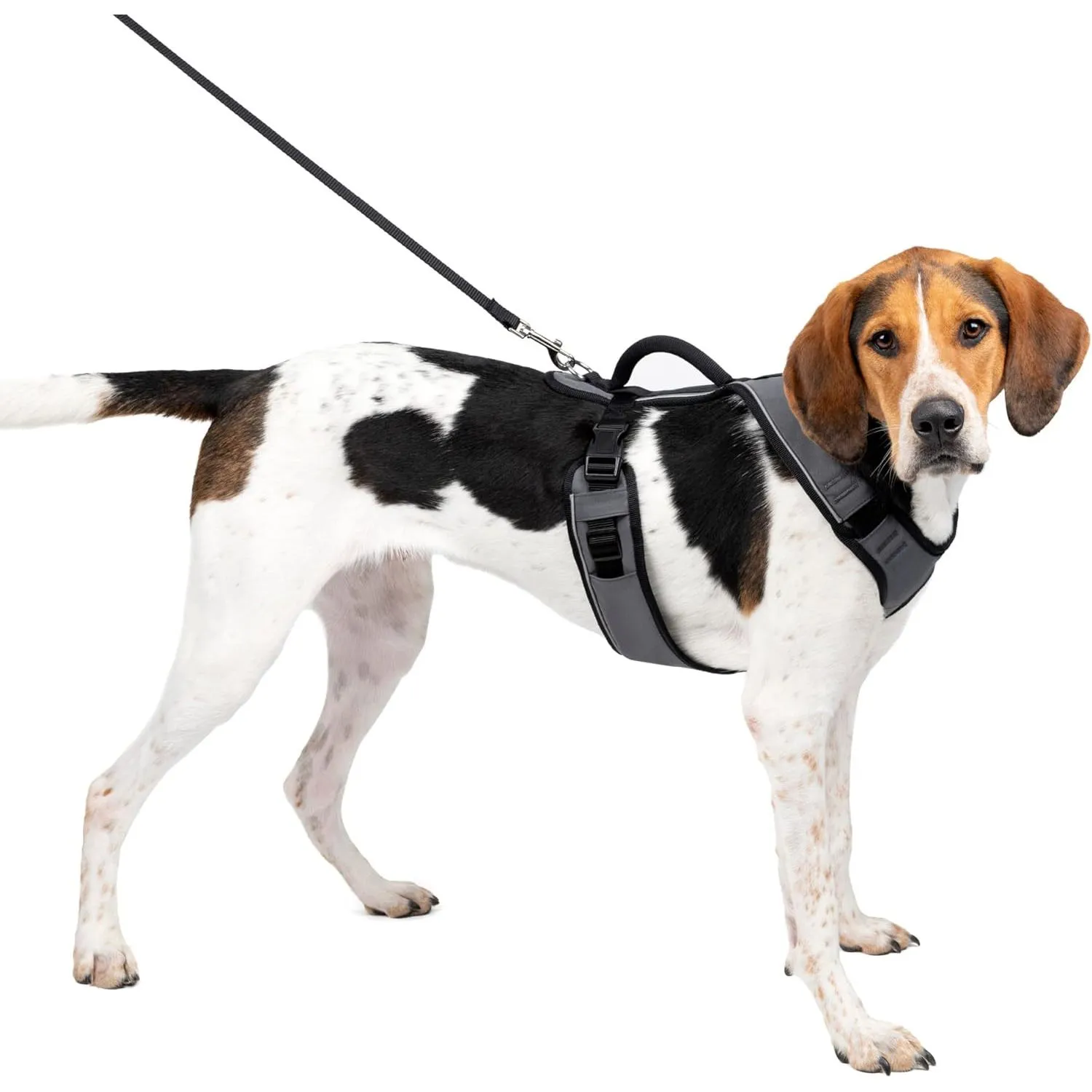 Arnés Para Perro Acolchado Ajustable Petsafe
