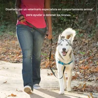 Arnés Para Perro Sin Tirones PetSafe Easy Walk Talla Grande Azul Rey