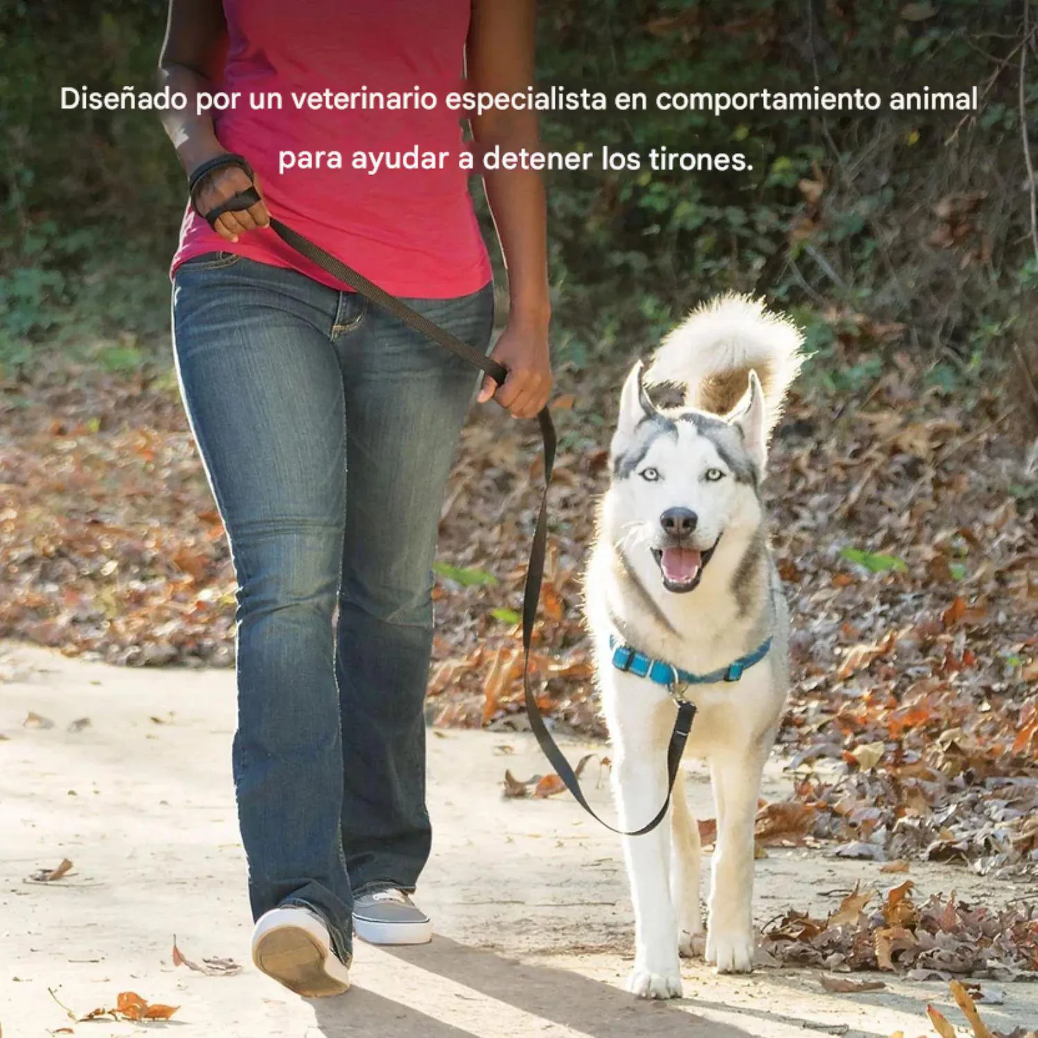 Arnés Para Perro Sin Tirones PetSafe Easy Walk Talla Grande Azul Rey