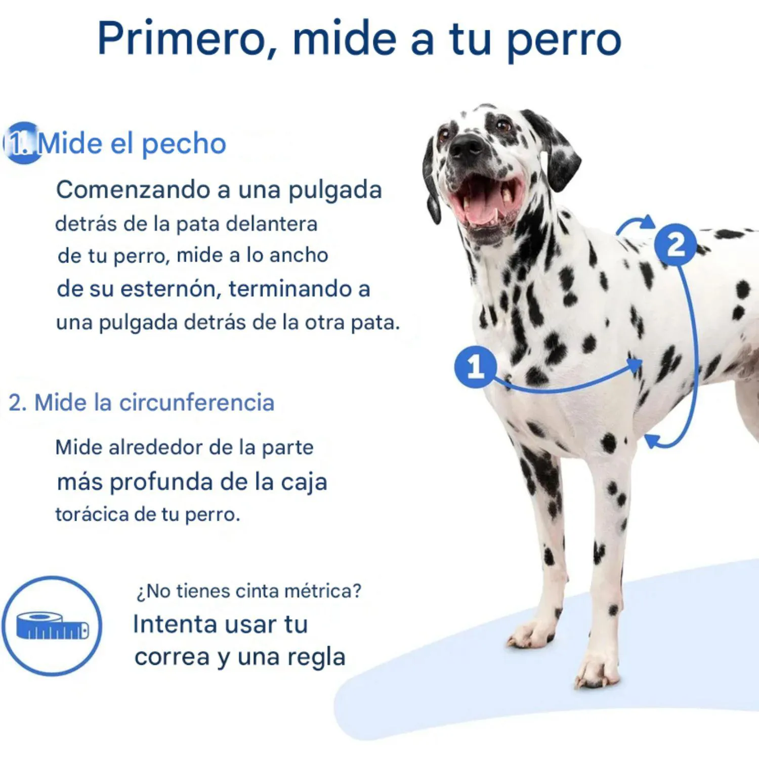Arnés Para Perro Sin Tirones PetSafe Easy Walk Talla Grande Azul Rey 3
