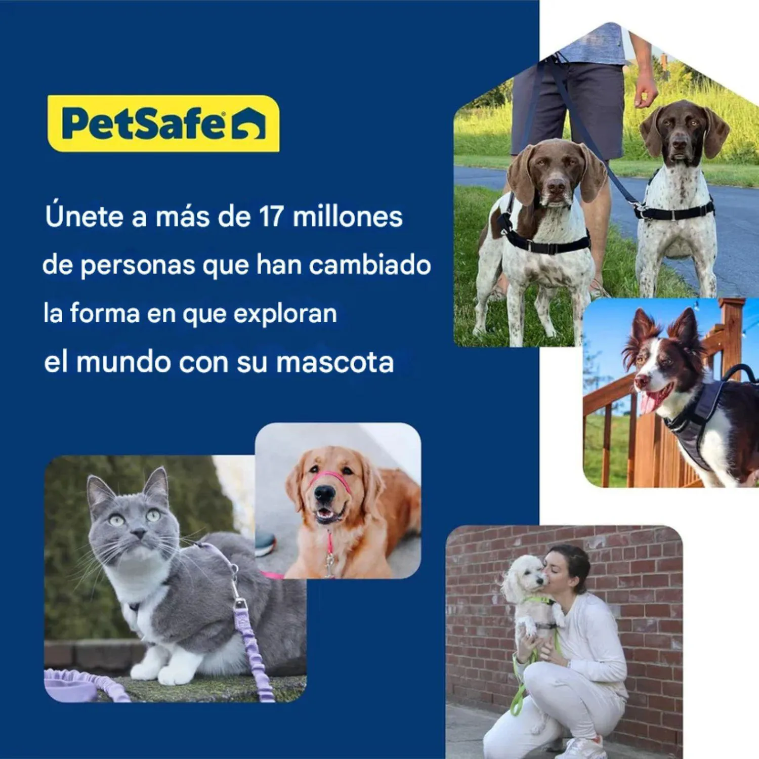 Arnés Para Perro Sin Tirones PetSafe Easy Walk Talla Grande Azul Rey 5