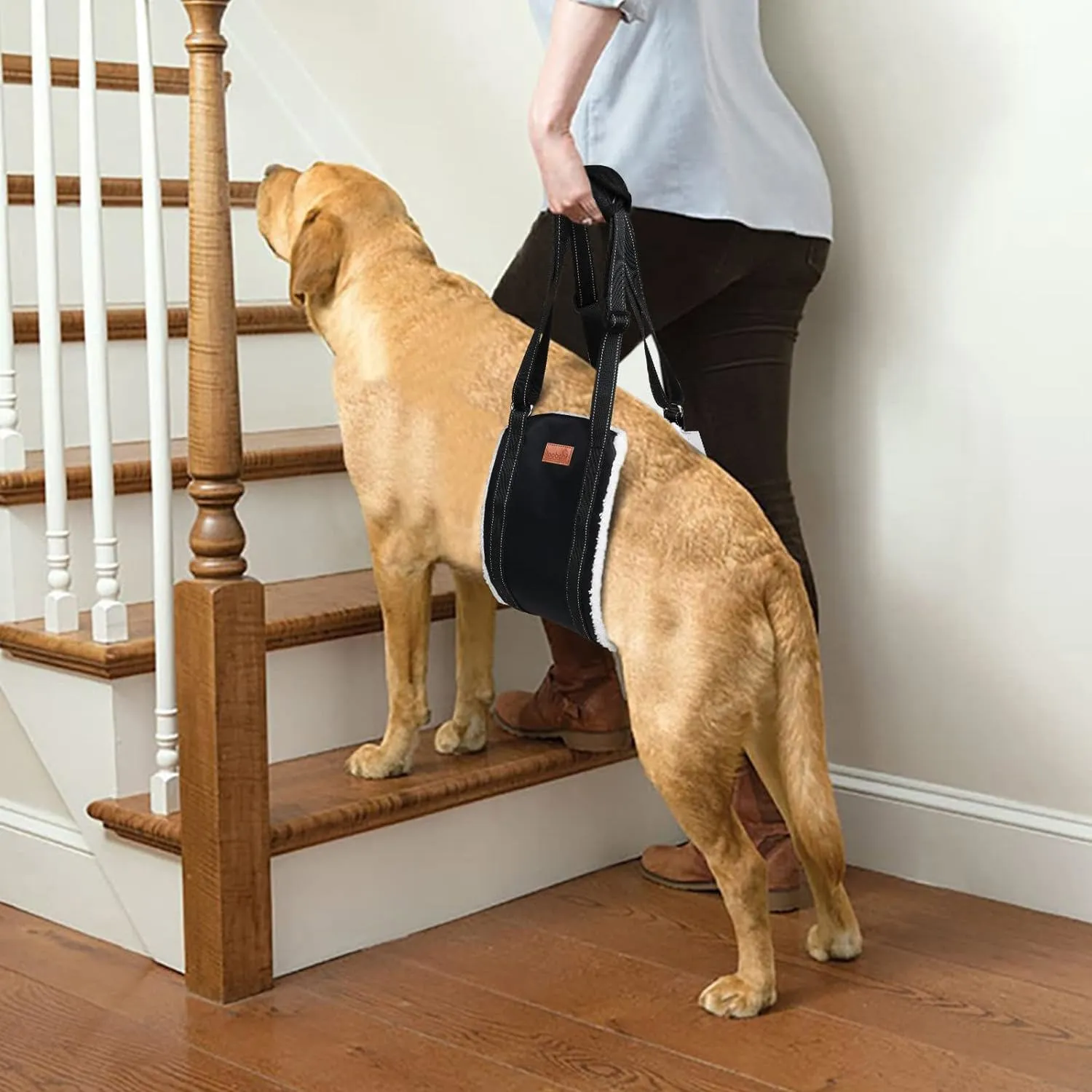 Arnés Para Perro Portátil Para Perro Patas Traseras Loobani 5