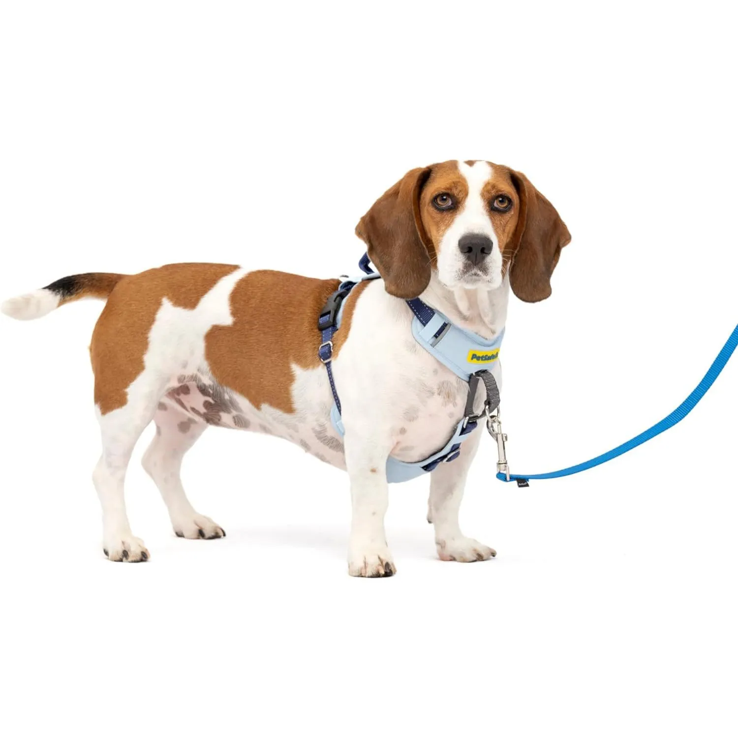 Arnés Para Perro Sin Tirones Acolchado De Cuero Petsafe