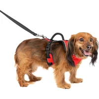 Arnés Para Perro Xs Rojo Petsafe