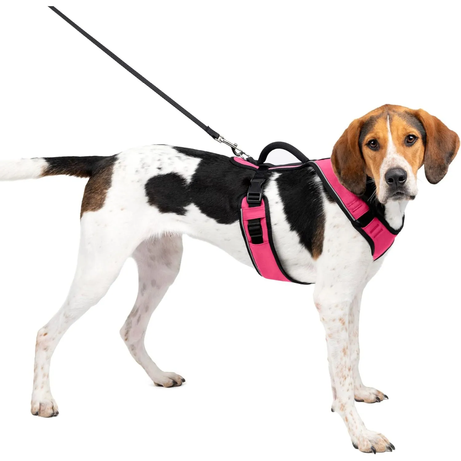 Arnés Para Perro Talla L Rosado Petsafe