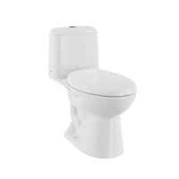 Sanitario Cima Alongado 4.8 Litros Corona