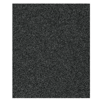 Lija Agua 100 23 cm x 28 cm Carburo Set X 250 Unidades