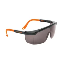 Gafas de Seguridad Gris Patilla Ajustable Set X 36 Unidades