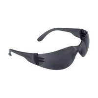 Gafas de Seguridad Gris Protección Uv Set X 300 Unidades
