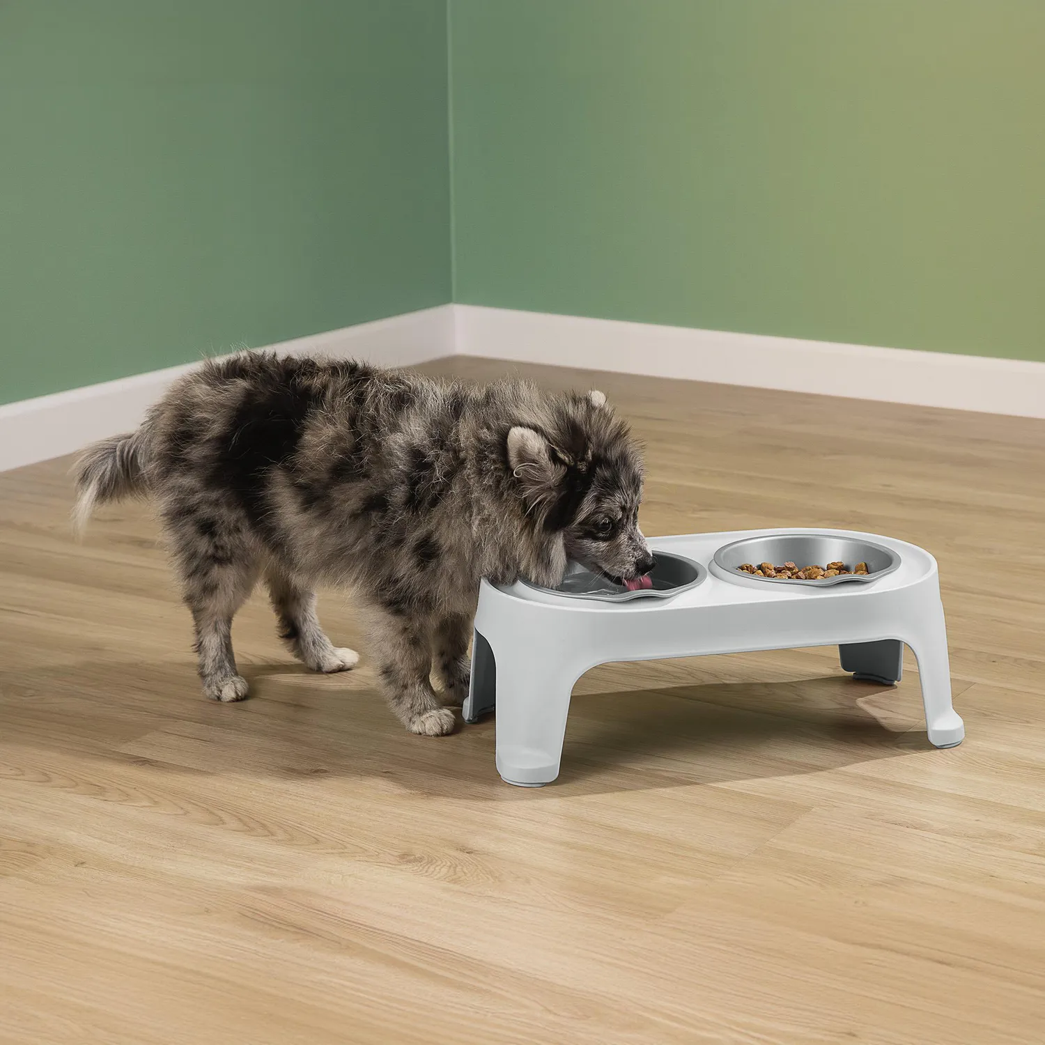 Comedero para Perro Pequeño 16.5x44.3x25.4cm Rimax 6