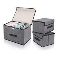 Set X3 Cajas Organizadoras de Ropa