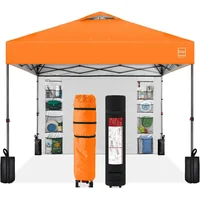 Toldo Desplegable de 304.8 x 304.8 cm