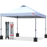 Toldo Plegable Mastercanopy 305x305cm