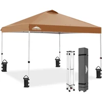 Toldo Desplegable de 304.8 x 304.8 cm