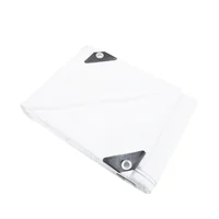 Lona Color Blanco 10 MIL x 3,04 x 4,57 M