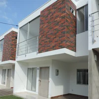 Pared Gres Tablilla Matizada 7x25cm CJX1M2