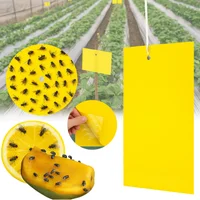 Trampa Pegajosa Para Insectos Doble Cara X 10 Und Perduoutlet