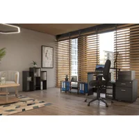 Furinno Escritorio para Laptop Con Estantes Cuadrados