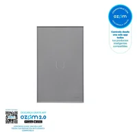 Interruptor Sencillo Inteligente Connect Iot Plata