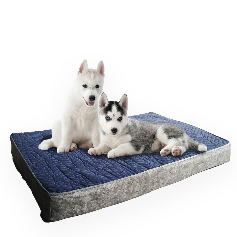 Cama Ortopédica Cama Perros Medianos Cama Perro Tiendanimal Cama