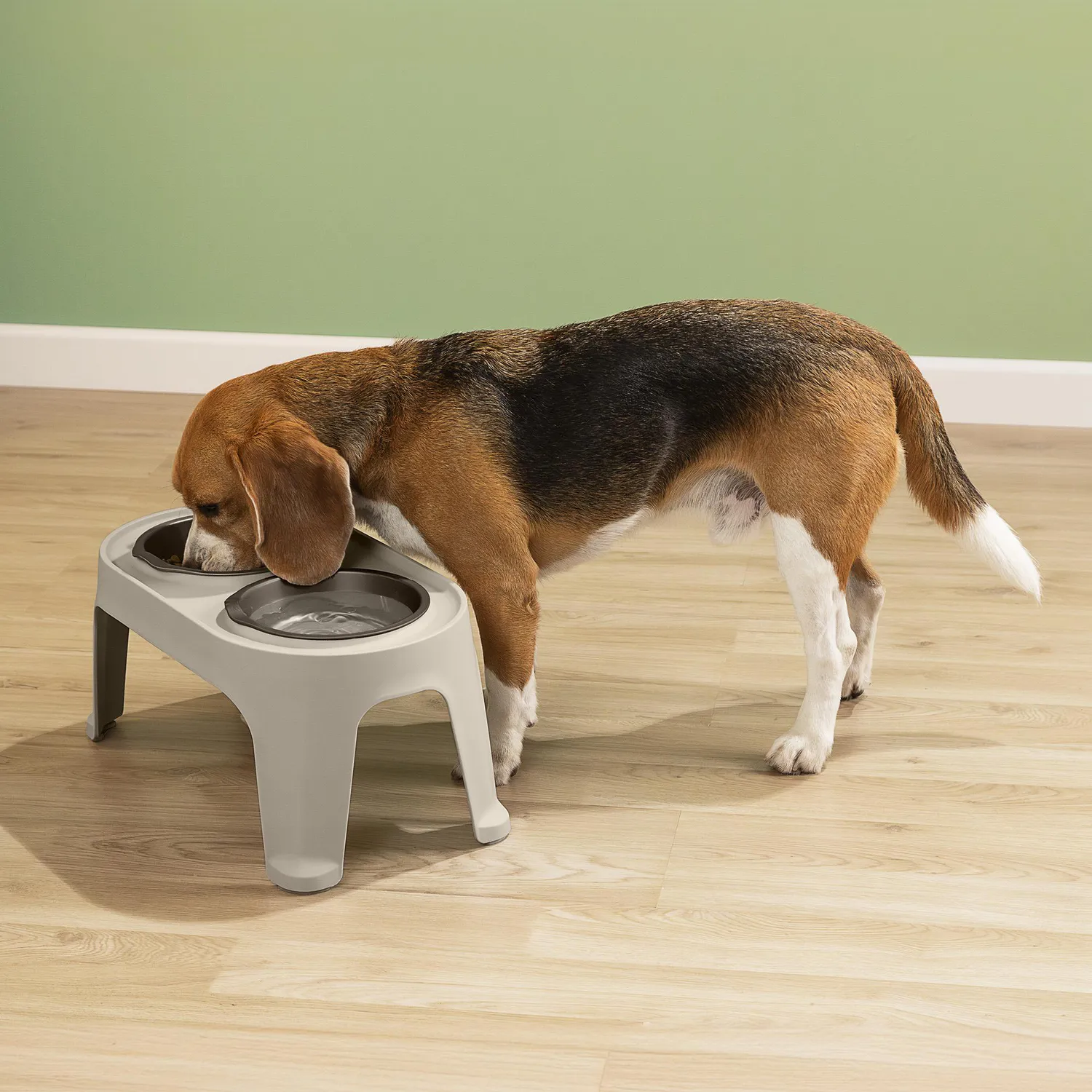 Comedero Para Perro Mediano 21.7x44.3x25.4cm Mocca Rimax 3