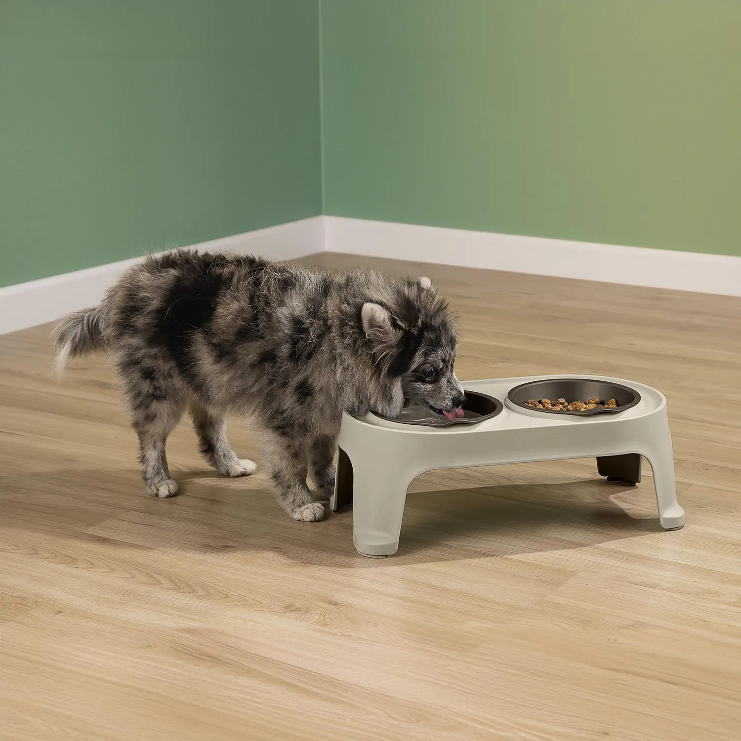Comedero Para Perro Pequeño 16.5x44.3x25.4cm Mocca Rimax 3
