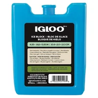 Bloque Congelador Pequeño IGLOO MaxCold