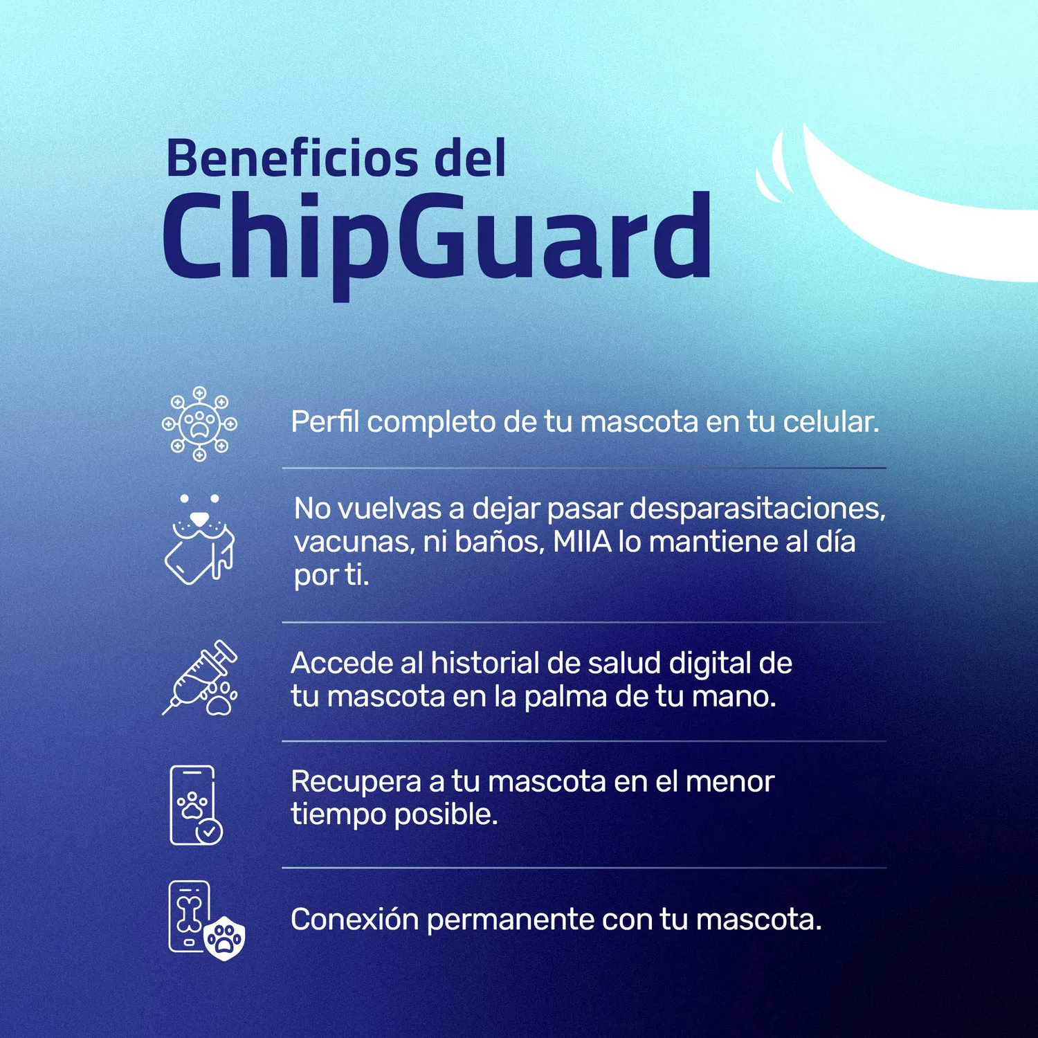 Chip Para Mascota Anti Extravío 4