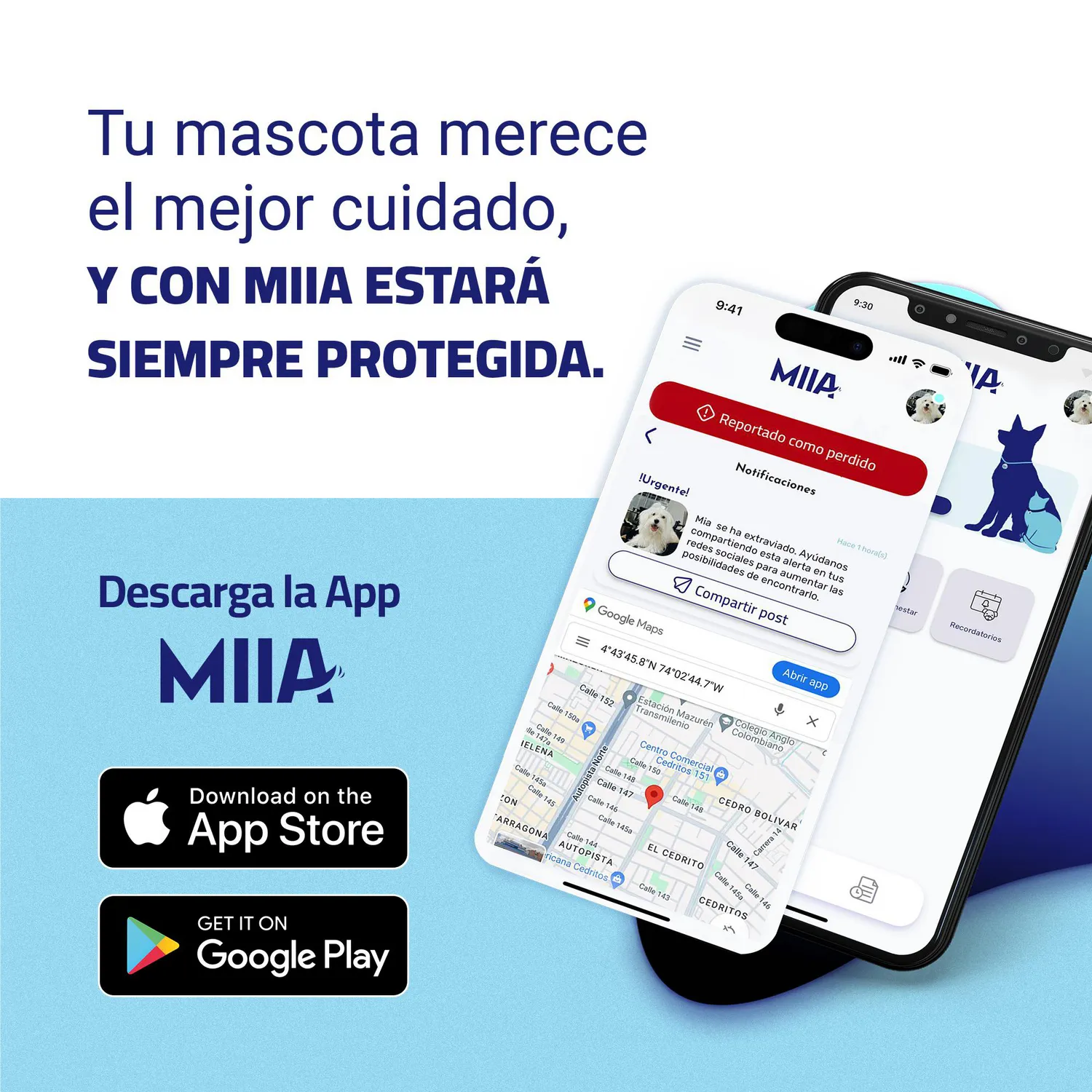 Chip Para Mascota Anti Extravío 5