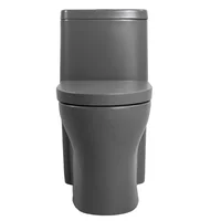 Sanitario Gris One Piece Sevilla Dual Mate Corona