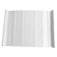 Cubierta Metálica 50 cm Ancho Aluzinc de 0.50 mm Pintura Poliéster Blanco Invierno