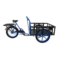 Triciclo Carg Azul